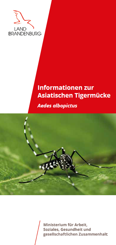 Bild vergrößern (Bild: Die Asiatische Tigermücke (Aedes albopictus) tritt zunehmend in Deutschland auf.)
