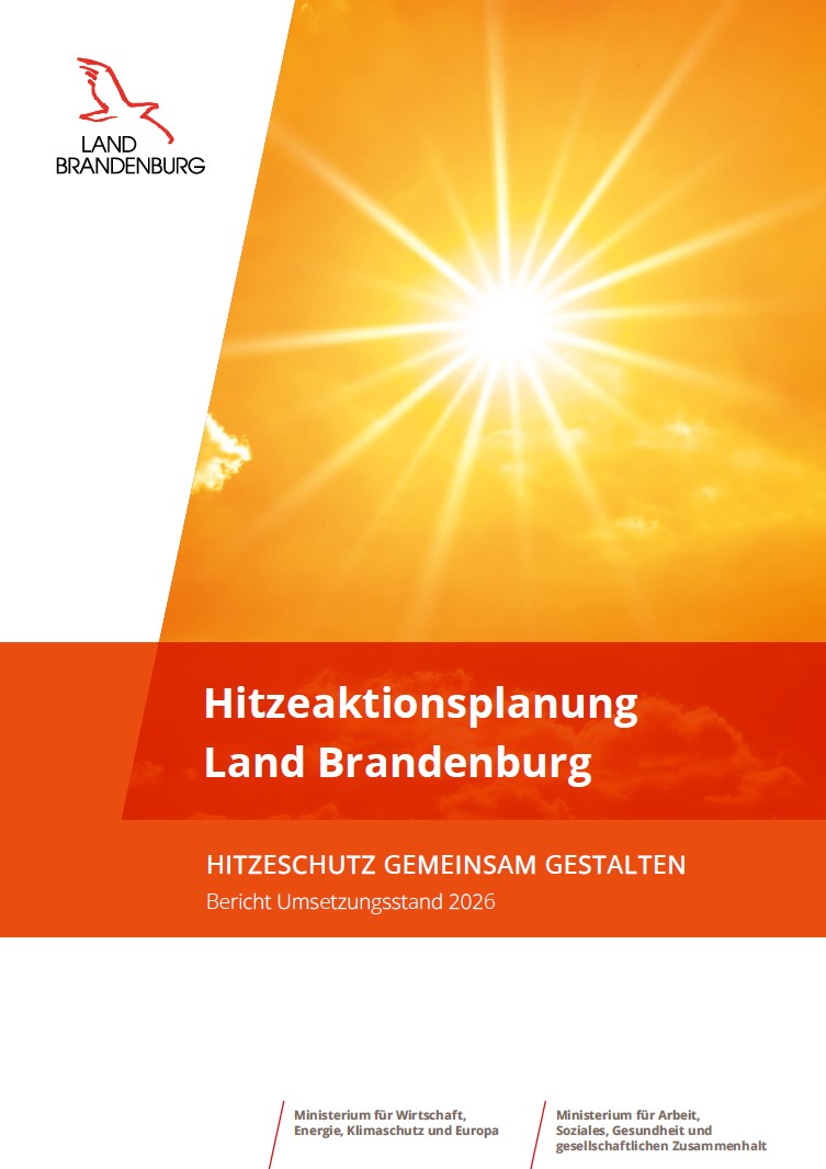 Bild vergrößern (Bild: HITZESCHUTZ GEMEINSAM GESTALTEN, Bericht Umsetzungsstand 2026)