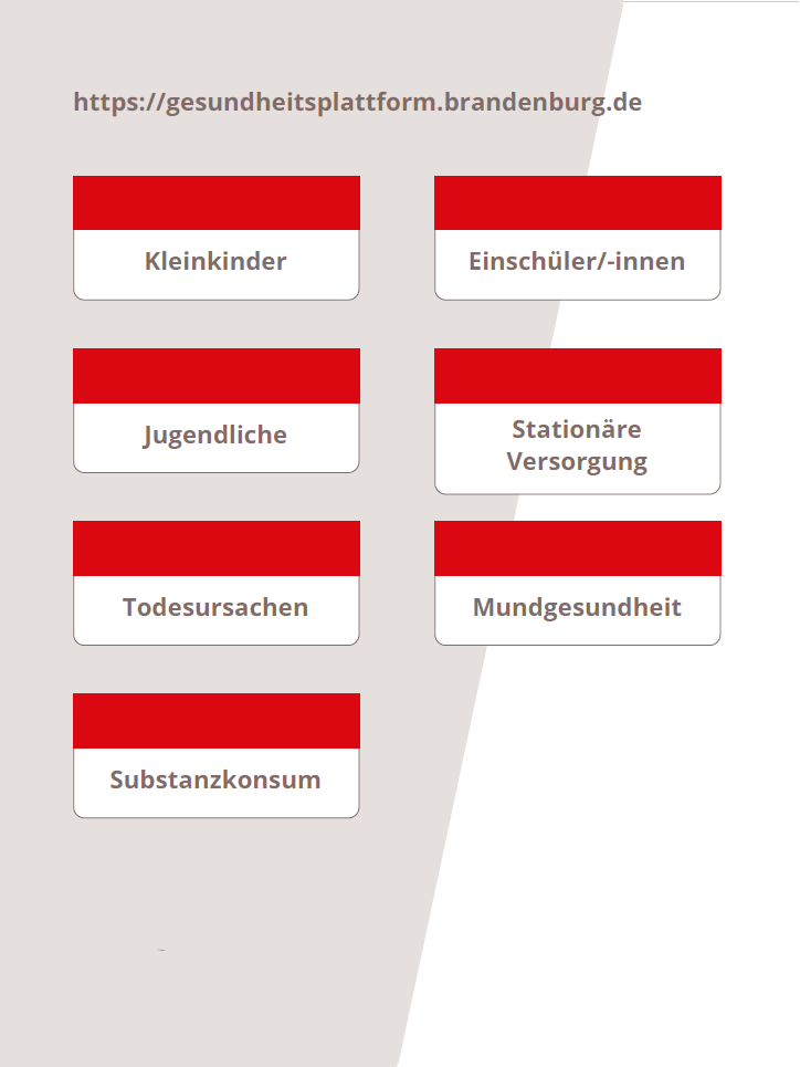 Screenshot Gesundheitsplattform