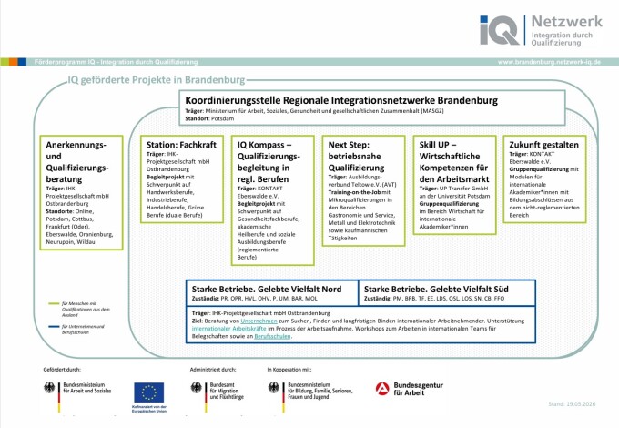 Organigramm IQ Netzwerk